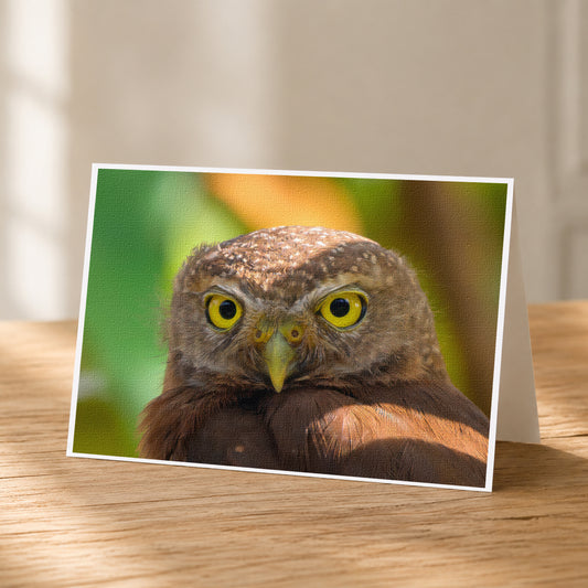 A close-up photograph of a brown owl with yellow eyes, set against a blurred green background.