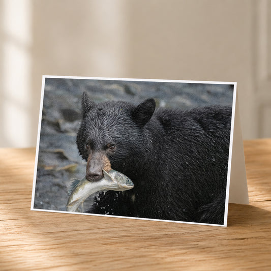 A black bear holding a fish in its mouth, standing on a rocky surface.