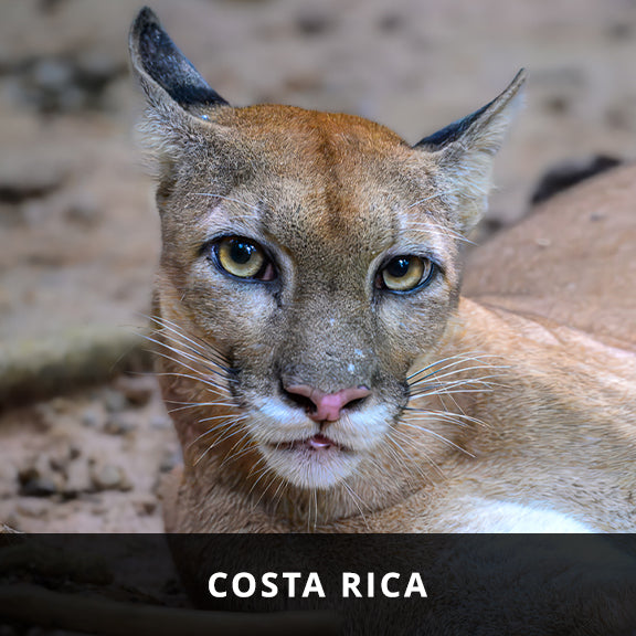 Costa Rica