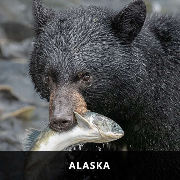 Alaska