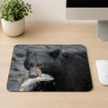 Black bear holding a freshly caught salmon in its mouth while standing in a river, printed on a mouse pad