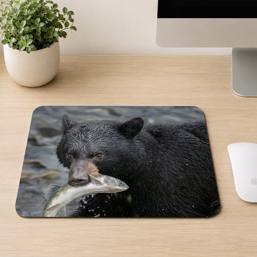 Black bear holding a freshly caught salmon in its mouth while standing in a river, printed on a mouse pad