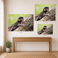 a wooden table with three framed photographs of a baby monkey hanging from a tree branch.