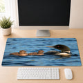Adult Common Loon swimming beside two fuzzy loon chicks on calm blue lake water, shown as a desk mat design on a wood desk