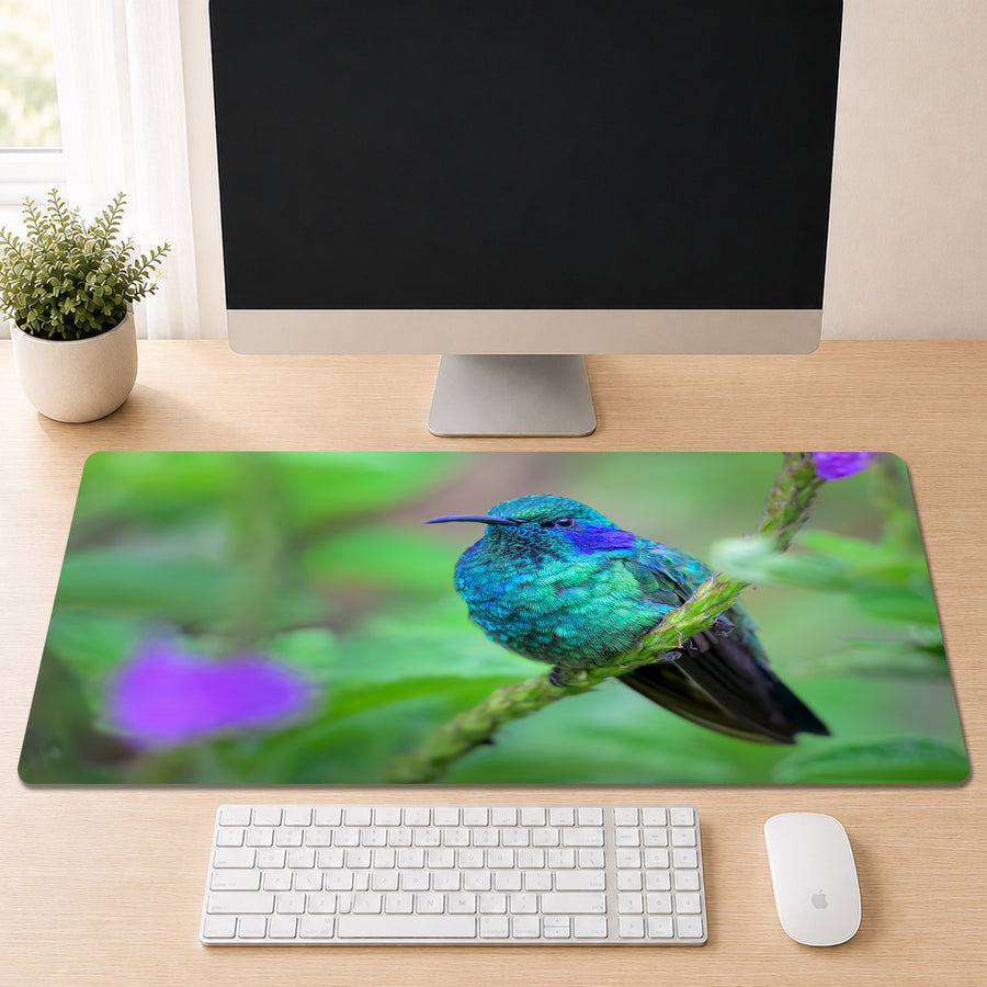 Lesser Violetear hummingbird with iridescent blue-green and violet feathers perched on a plant stem, shown as a desk mat design on a wood desk