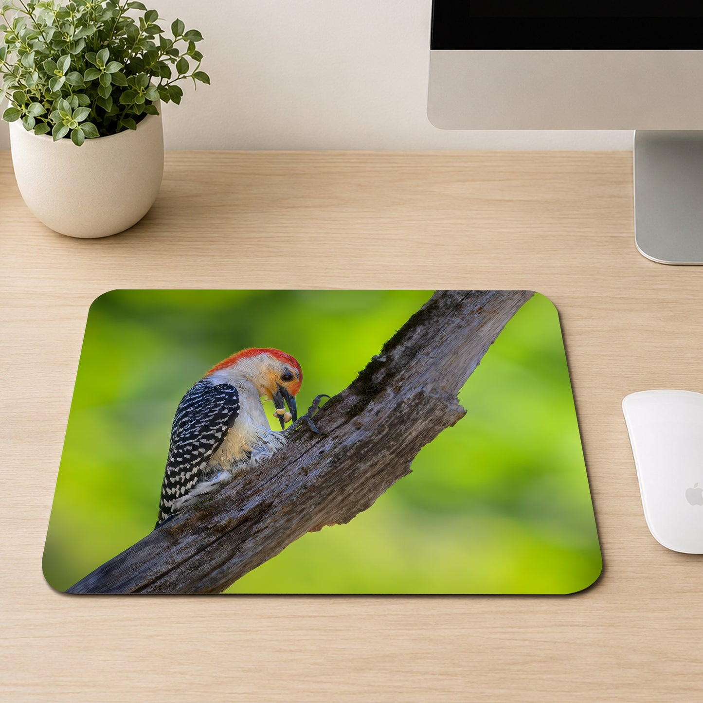 Red-bellied Woodpecker with a bright red cap perched on a branch with food in its beak, printed on a mouse pad