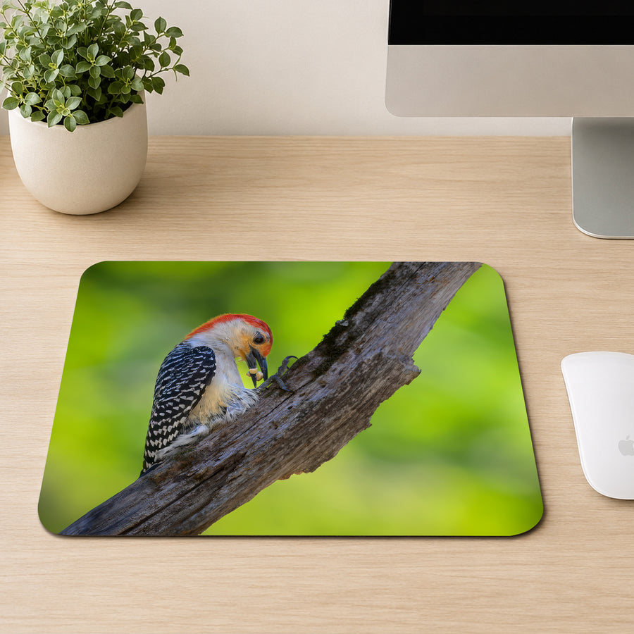 Red-bellied Woodpecker with a bright red cap perched on a branch with food in its beak, printed on a mouse pad