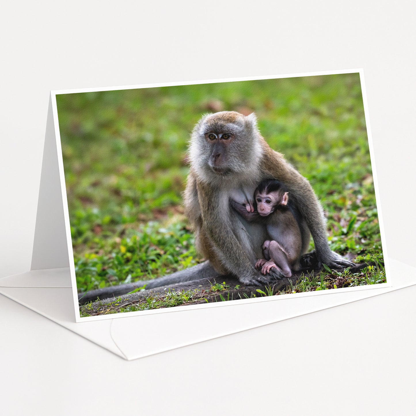 A mother monkey and her baby resting together on the grass.