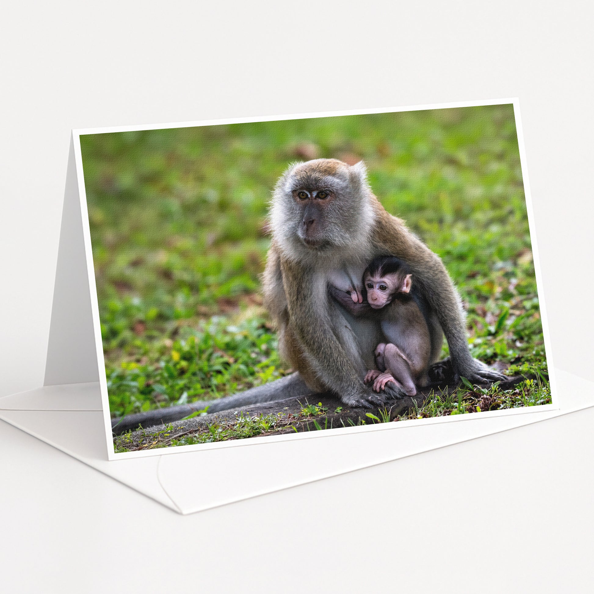A mother monkey and her baby resting together on the grass.