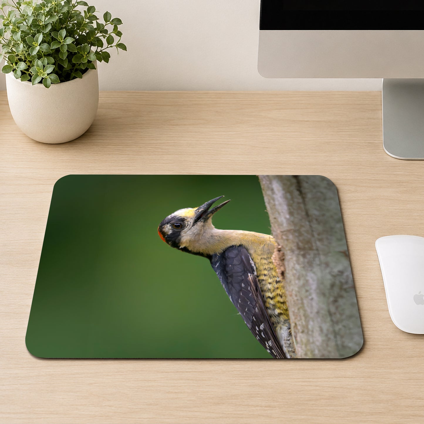 Woodpecker with black and yellow head markings clinging to a tree trunk against a green background, printed on a mouse pad