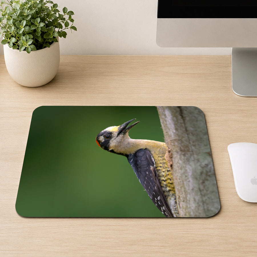 Woodpecker with black and yellow head markings clinging to a tree trunk against a green background, printed on a mouse pad