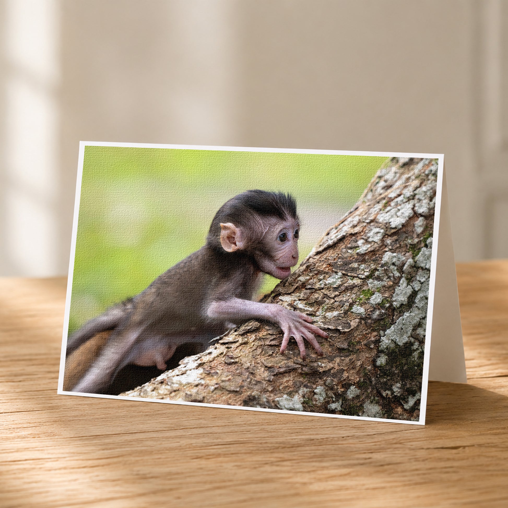A young monkey is climbing up a tree trunk, with its hands gripping the bark and its body leaning forward.