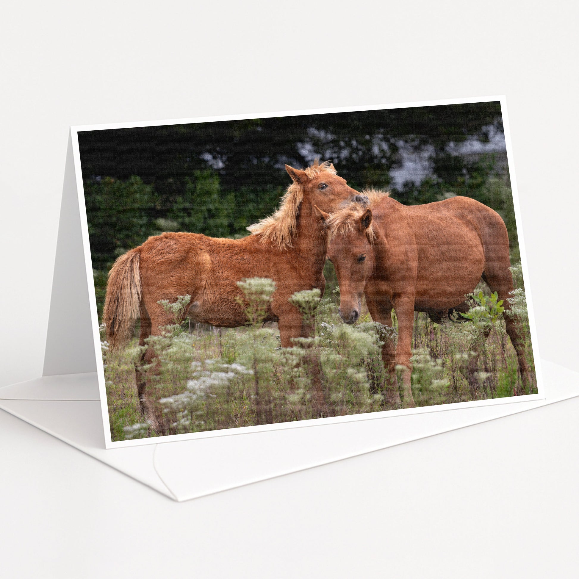 Two brown horses standing in a field with tall grass and wildflowers.