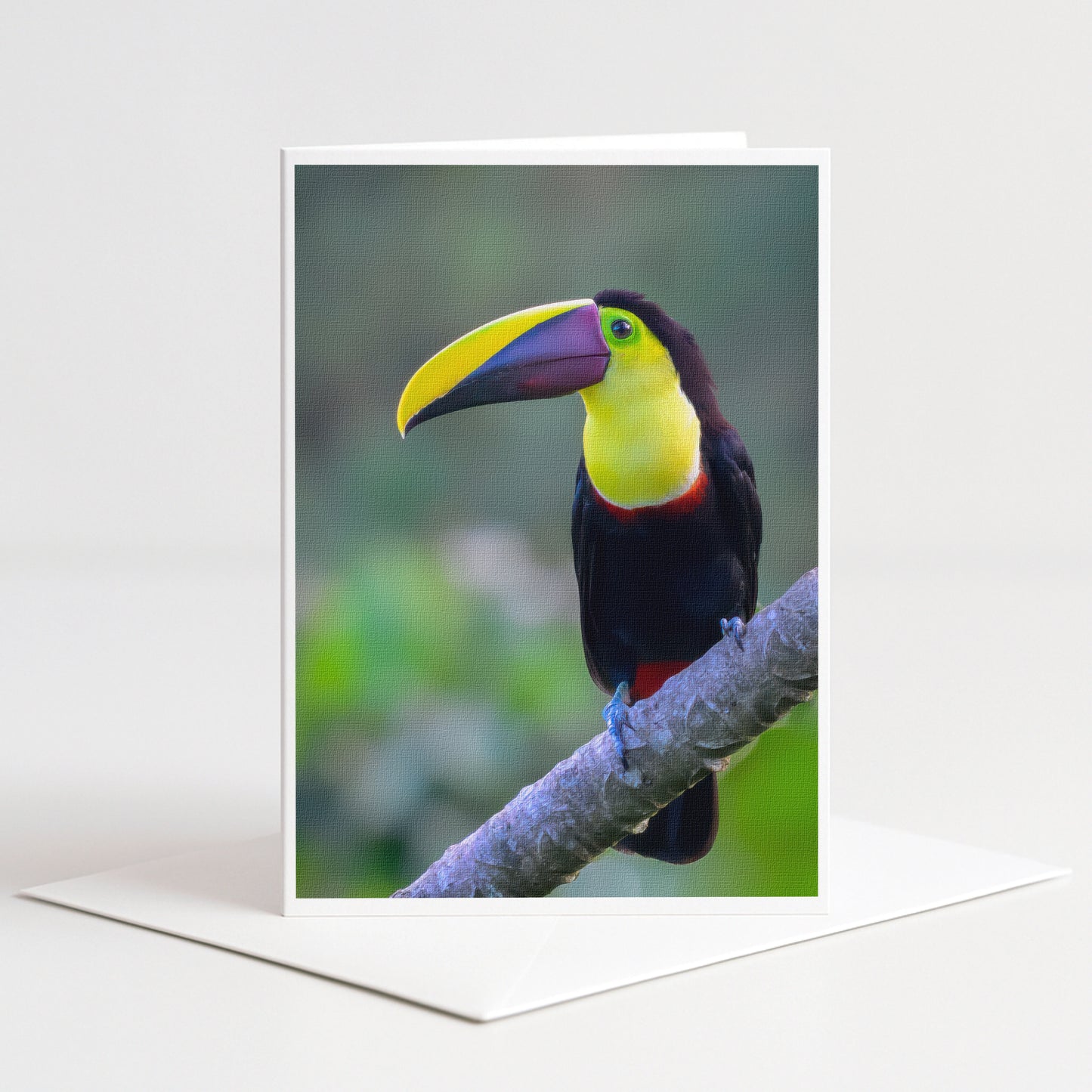 A colorful toucan perched on a branch, with its vibrant yellow beak and black and red plumage.