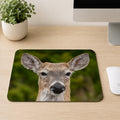White-tailed deer with large ears and a direct gaze against a green forest background, printed on a mouse pad