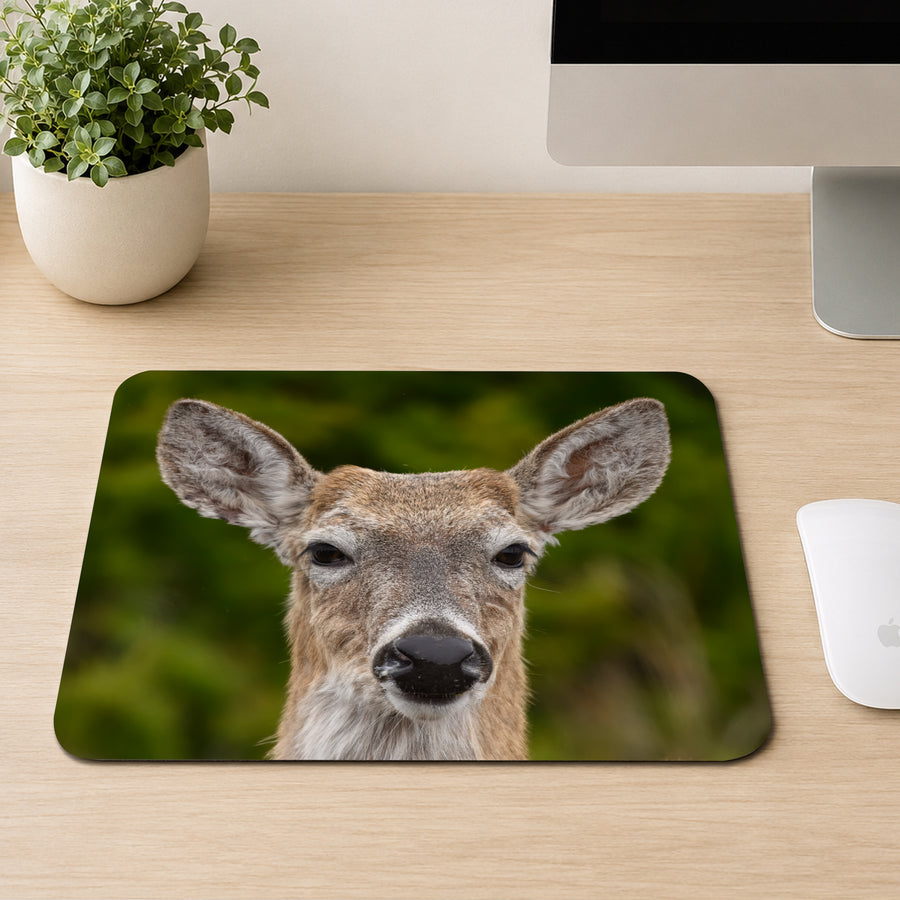 White-tailed deer with large ears and a direct gaze against a green forest background, printed on a mouse pad