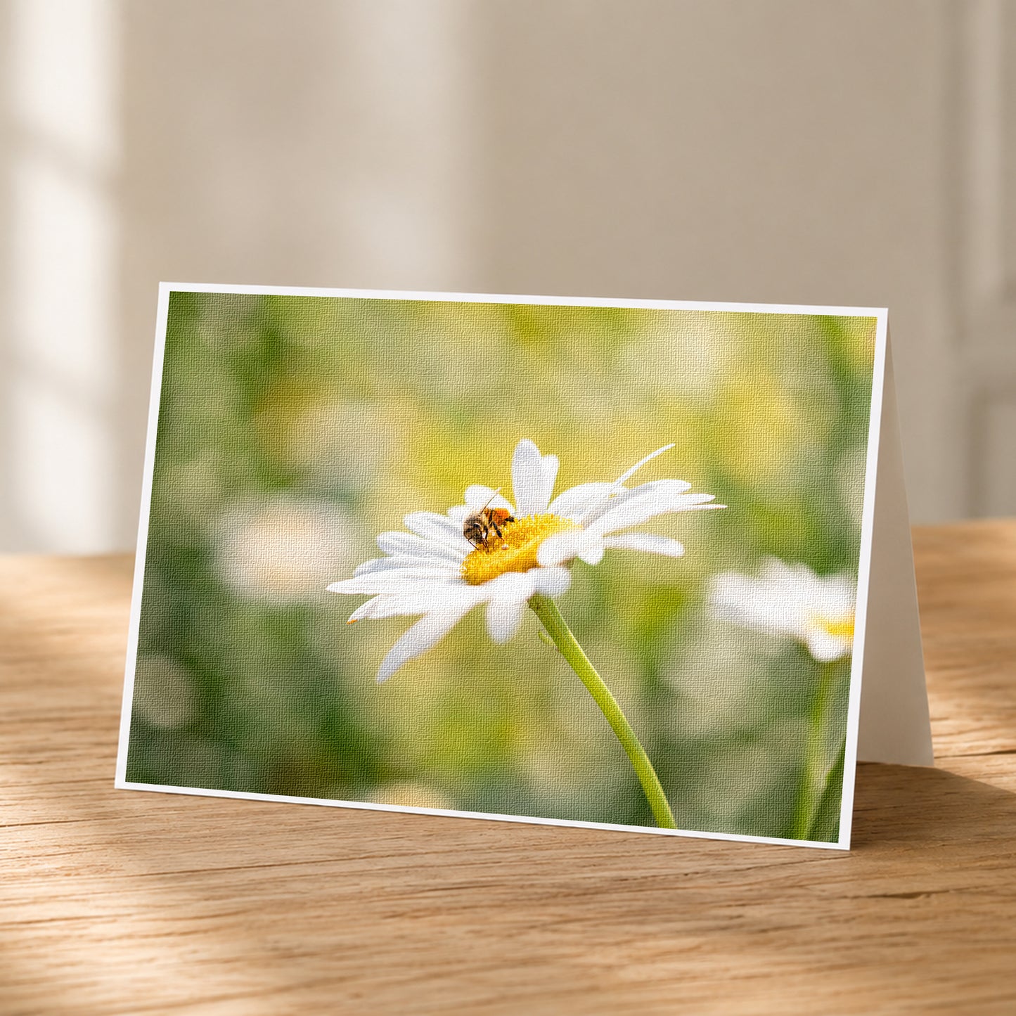 A close-up of a white daisy flower with a bee on it, set against a blurred green background.