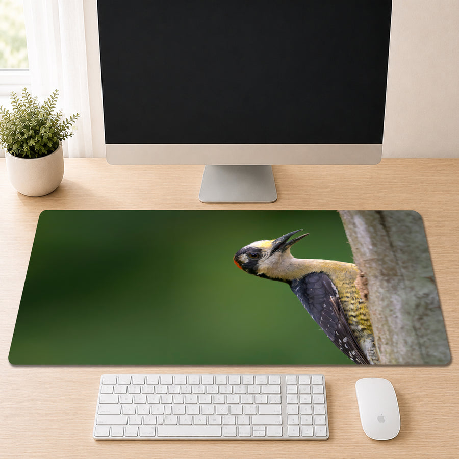 Black-cheeked Woodpecker with a tilted head clinging to a tree trunk against a green forest background, shown as a desk mat design on a wood desk