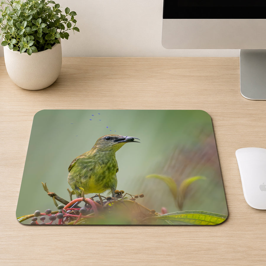 Female Green Honeycreeper with olive green feathers and a curved bill perched among berries, printed on a mouse pad
