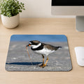 Semipalmated Plover shorebird with a black neck band pulling a worm from wet sand, printed on a mouse pad