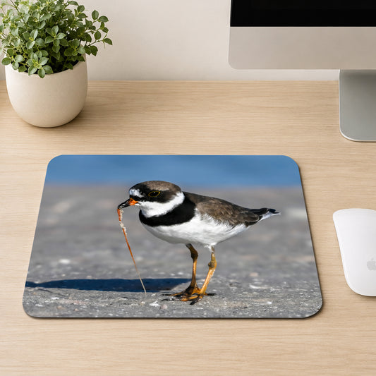 Semipalmated Plover shorebird with a black neck band pulling a worm from wet sand, printed on a mouse pad
