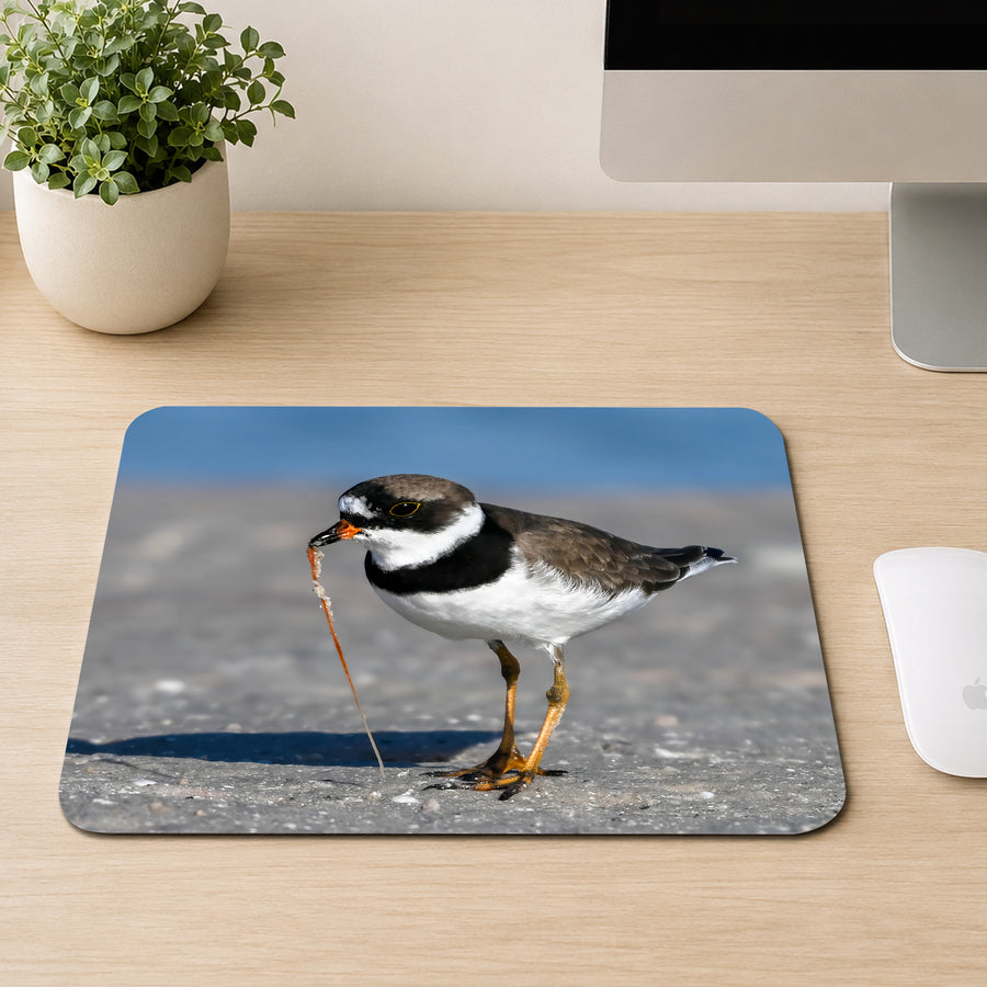 Semipalmated Plover shorebird with a black neck band pulling a worm from wet sand, printed on a mouse pad