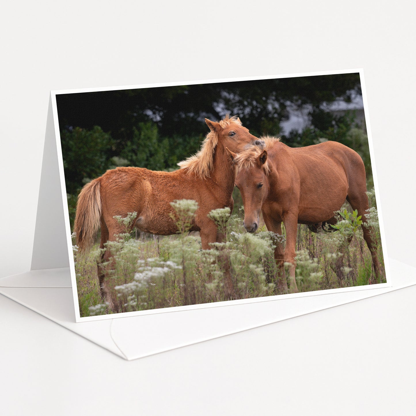 Two brown horses standing in a field with tall grass and wildflowers.