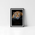 A framed photograph of a tiger resting on a surface, with its reflection visible in the water below.