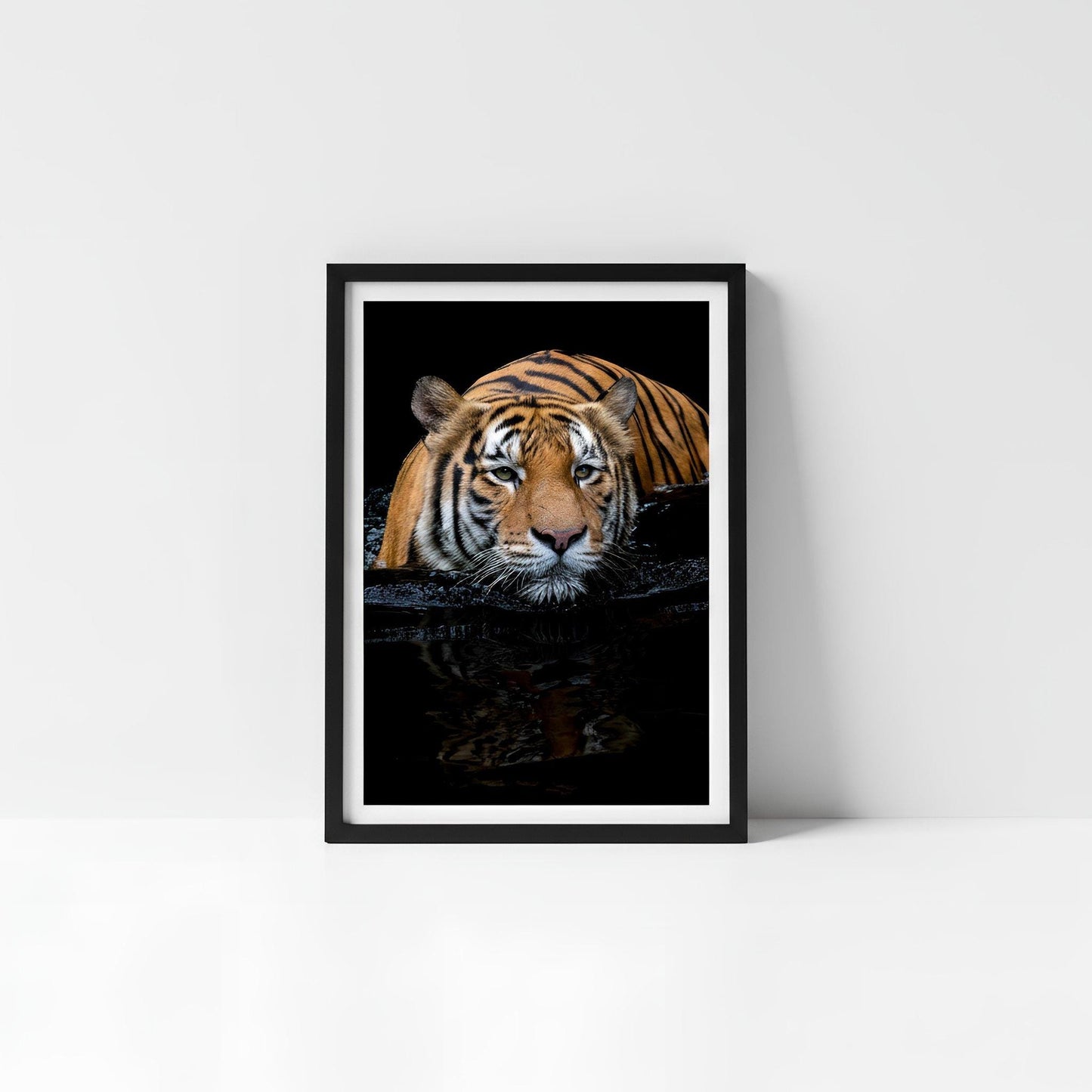 A framed photograph of a tiger resting on a surface, with its reflection visible in the water below.