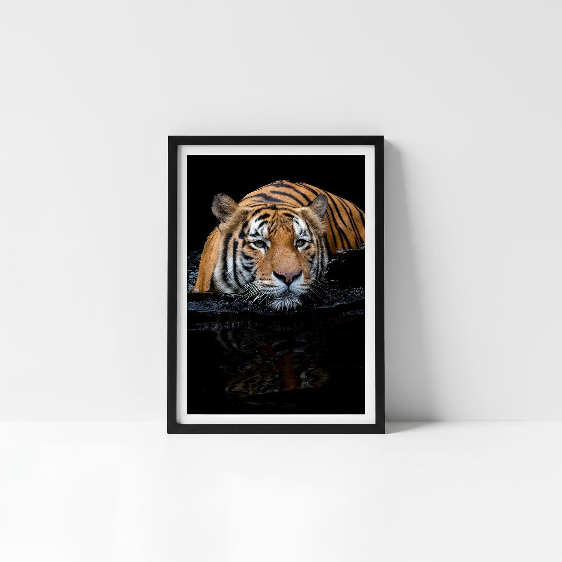 A framed photograph of a tiger resting on a surface, with its reflection visible in the water below.
