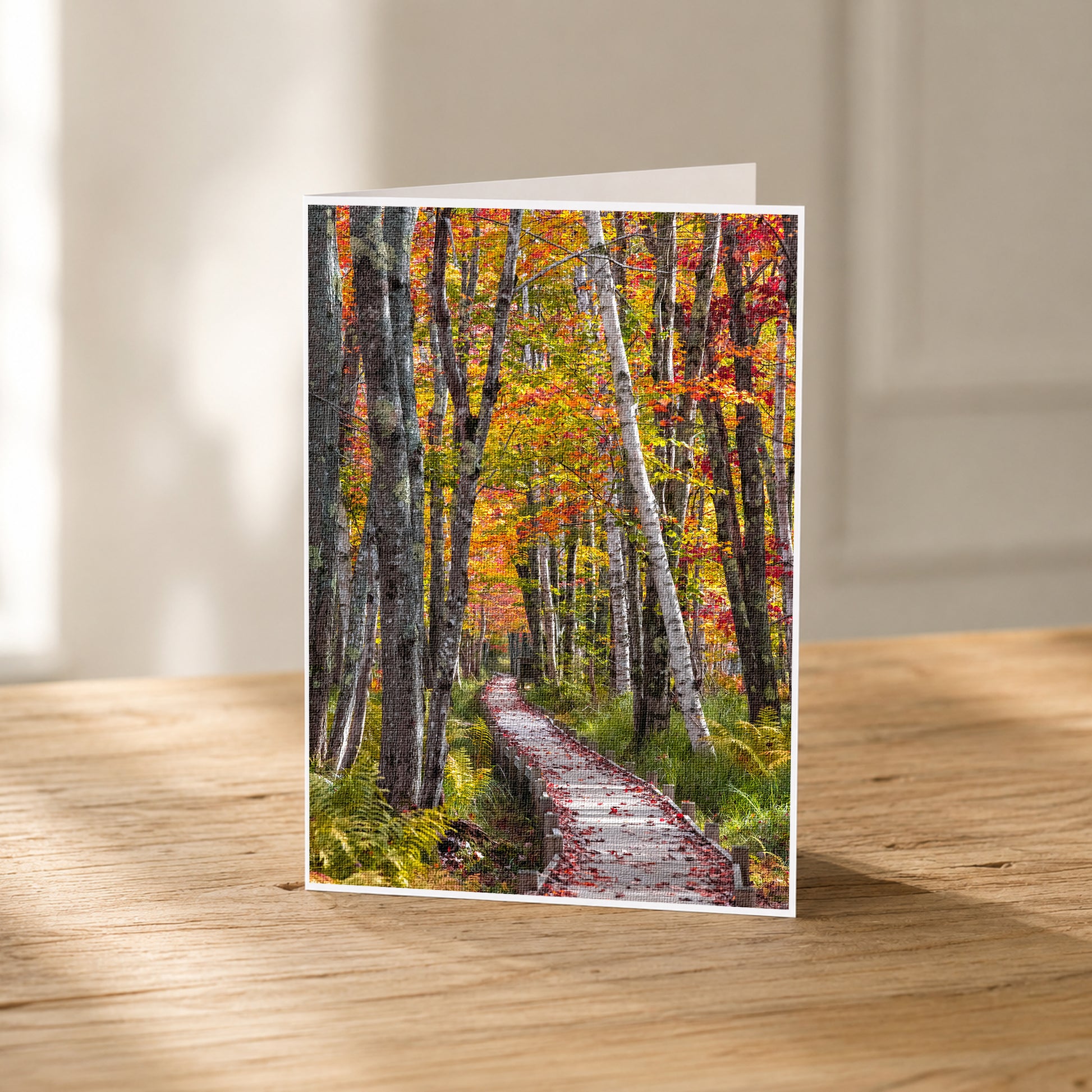 A wooden boardwalk winds through a forest of trees with vibrant autumn foliage, creating a picturesque and serene scene.