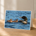 A family of ducks swimming together in a body of water, with a larger duck leading the group.