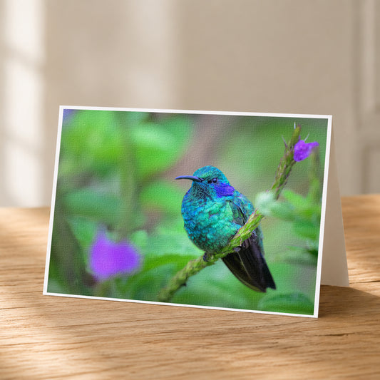 A vibrant hummingbird perches on a branch, its iridescent blue feathers contrasting with the lush green foliage.