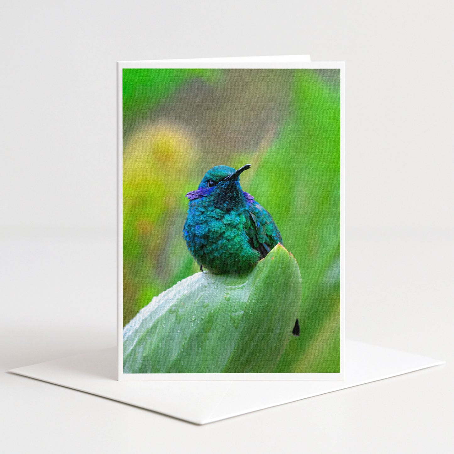 A colorful hummingbird perches on a green leaf, its vibrant feathers contrasting with the blurred background.