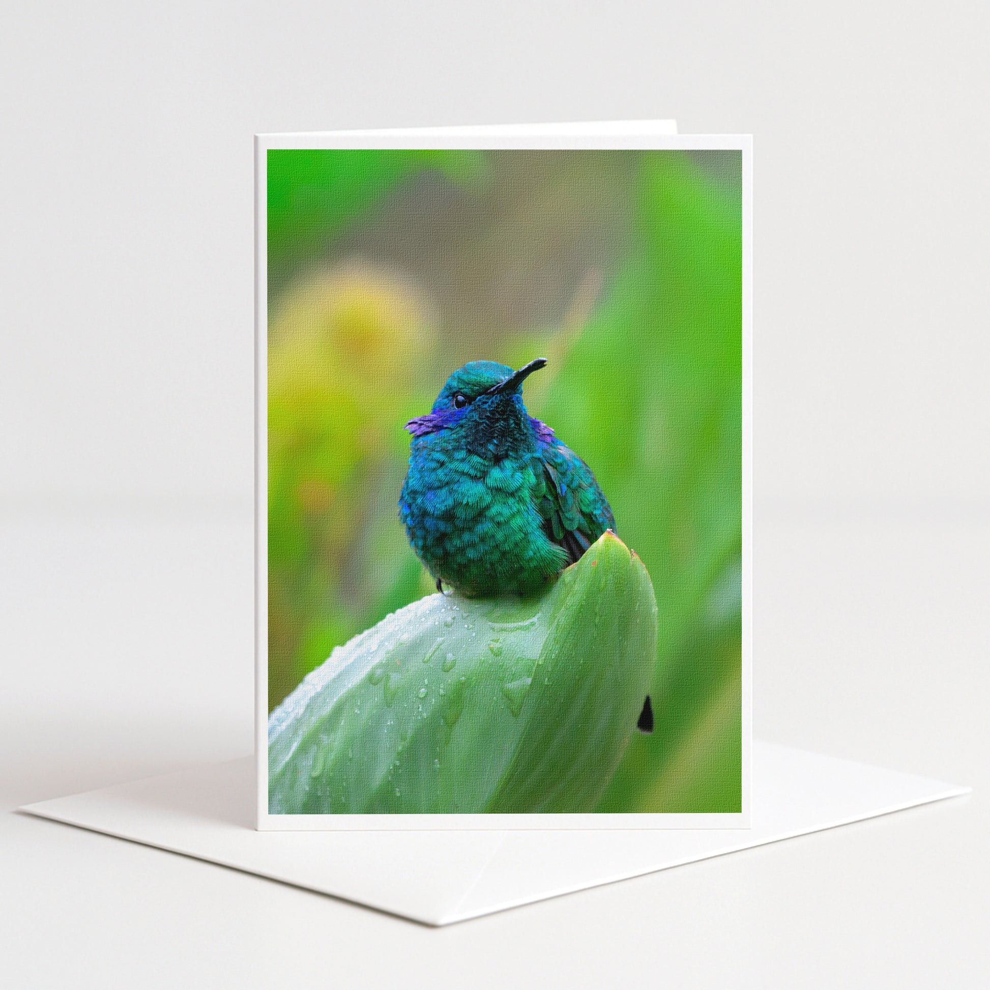 A colorful hummingbird perches on a green leaf, its vibrant feathers contrasting with the blurred background.