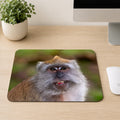 Long-tailed macaque baring its teeth with a green forest background, printed on a mouse pad