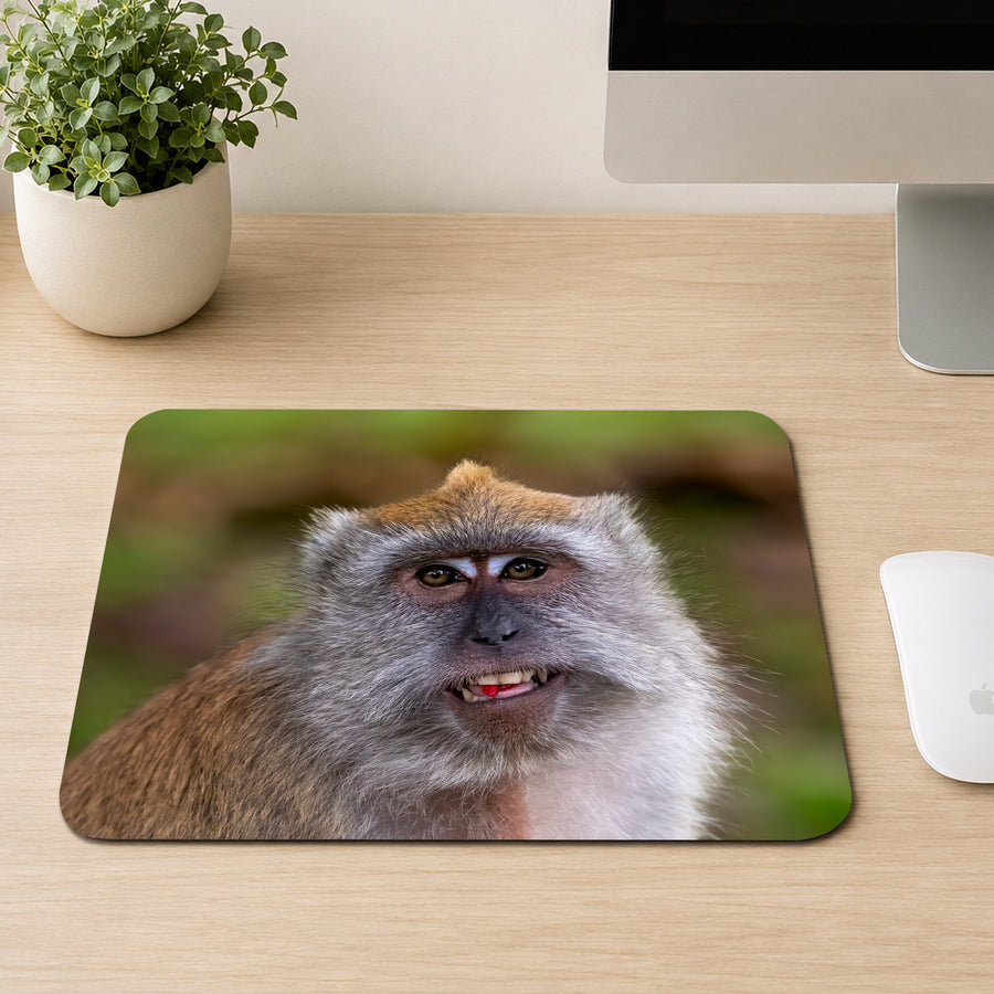 Long-tailed macaque baring its teeth with a green forest background, printed on a mouse pad