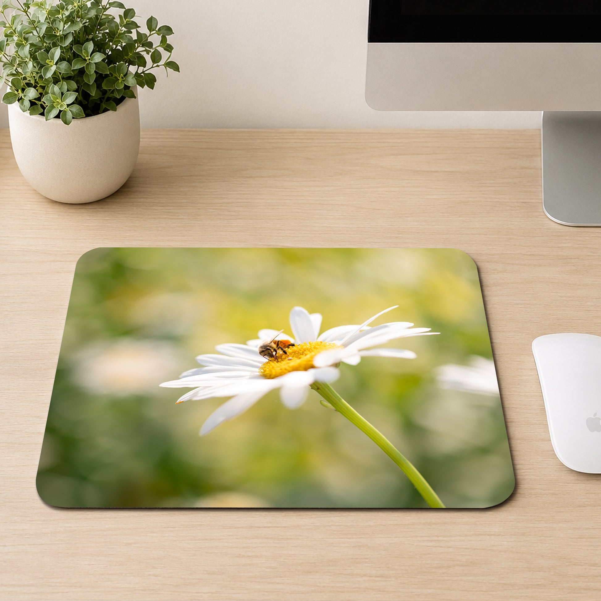 Honeybee gathering pollen on a white daisy with a soft green meadow background, printed on a mouse pad