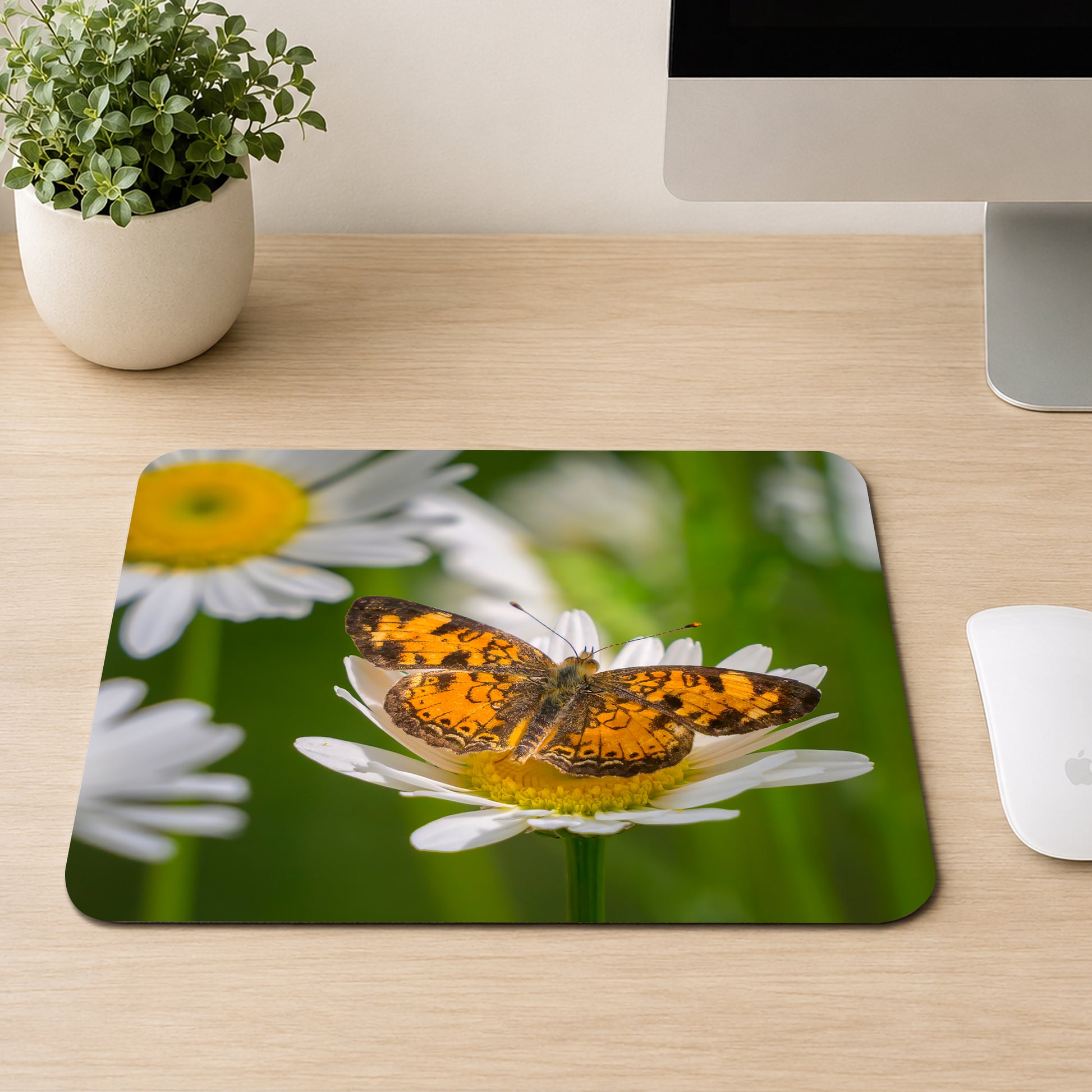 Orange and black checkered butterfly resting on a white daisy with a green meadow background, printed on a mouse pad
