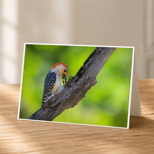 A colorful bird, possibly a woodpecker, perched on a tree branch.