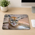 Puma resting on rocky ground with intense yellow eyes and long whiskers, printed on a mouse pad