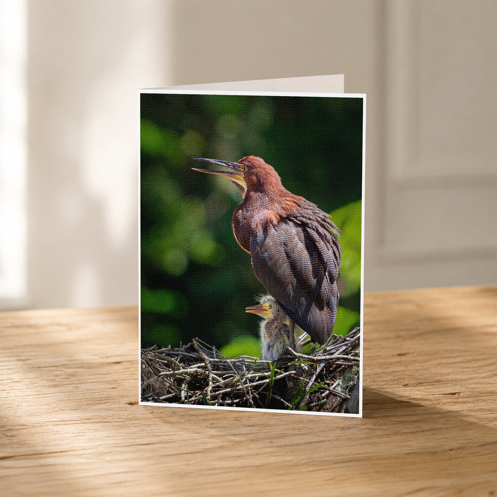 A mother bird with her baby bird perched on a nest in a natural setting.