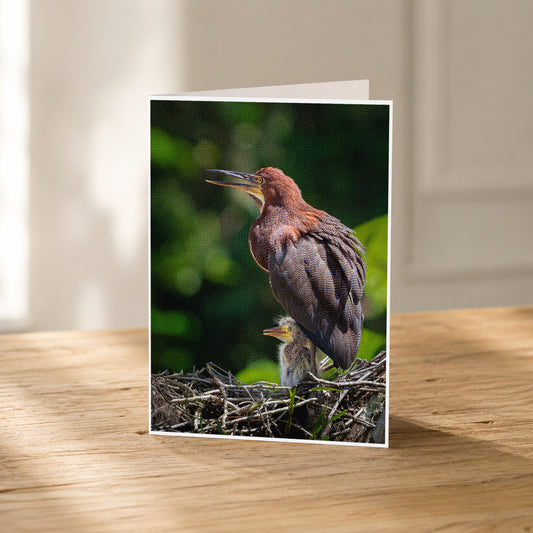 A mother bird with her baby bird perched on a nest in a natural setting.
