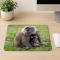 Long-tailed Macaque mother sitting with her infant tucked against her side in a grassy field, printed on a mouse pad