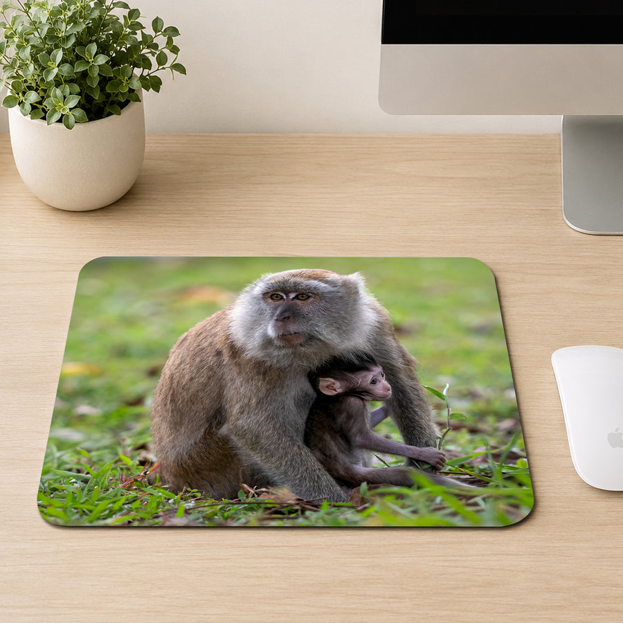 Long-tailed Macaque mother sitting with her infant tucked against her side in a grassy field, printed on a mouse pad