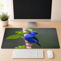 a computer monitor displaying a close-up of a blue bird perched on a branch, with a keyboard and mouse in front of it on a desk.