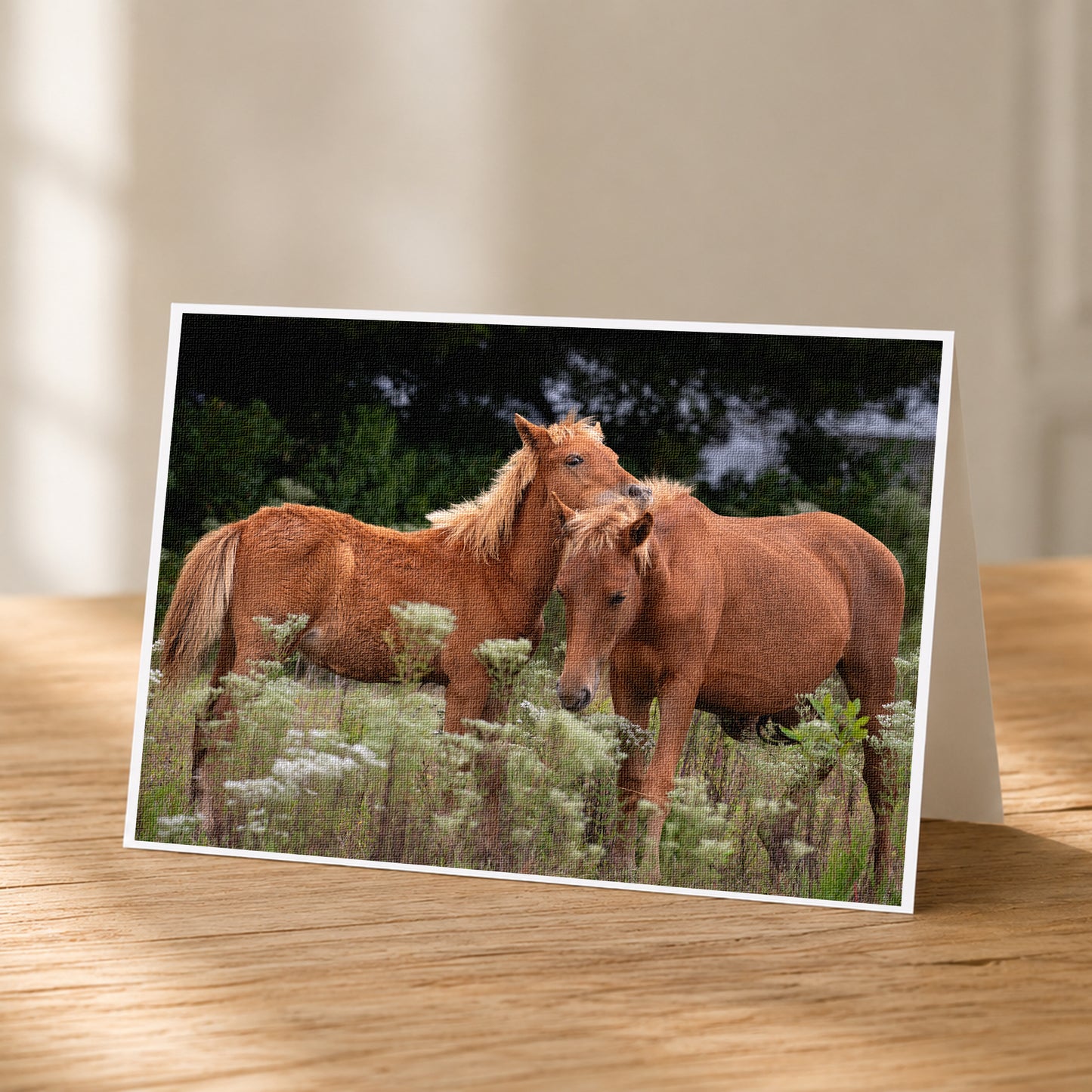 Two brown horses standing in a field of tall grass and wildflowers.
