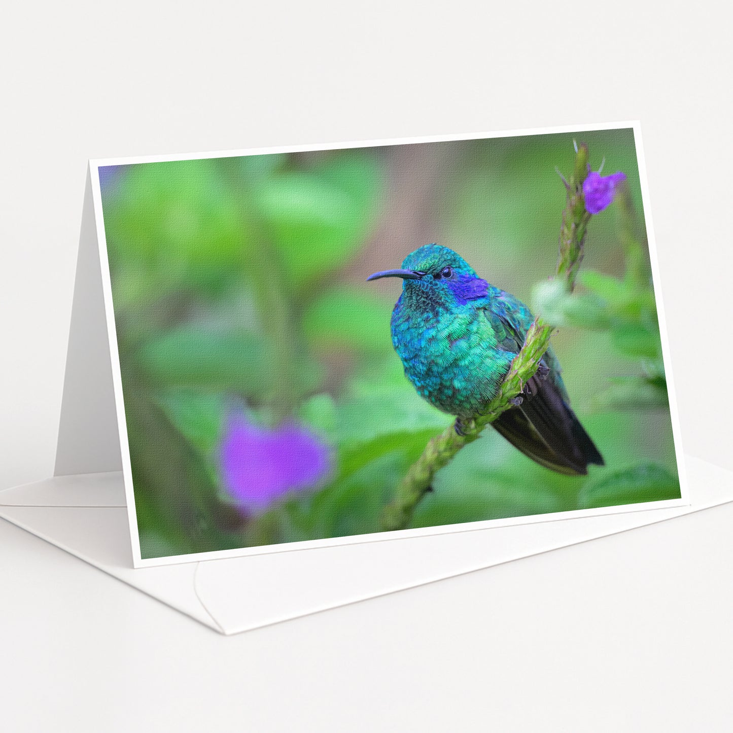 A vibrant hummingbird perches on a branch, its feathers displaying a stunning array of colors including shades of blue, green, and purple.
