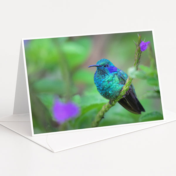 A vibrant hummingbird perches on a branch, its feathers displaying a stunning array of colors including shades of blue, green, and purple.