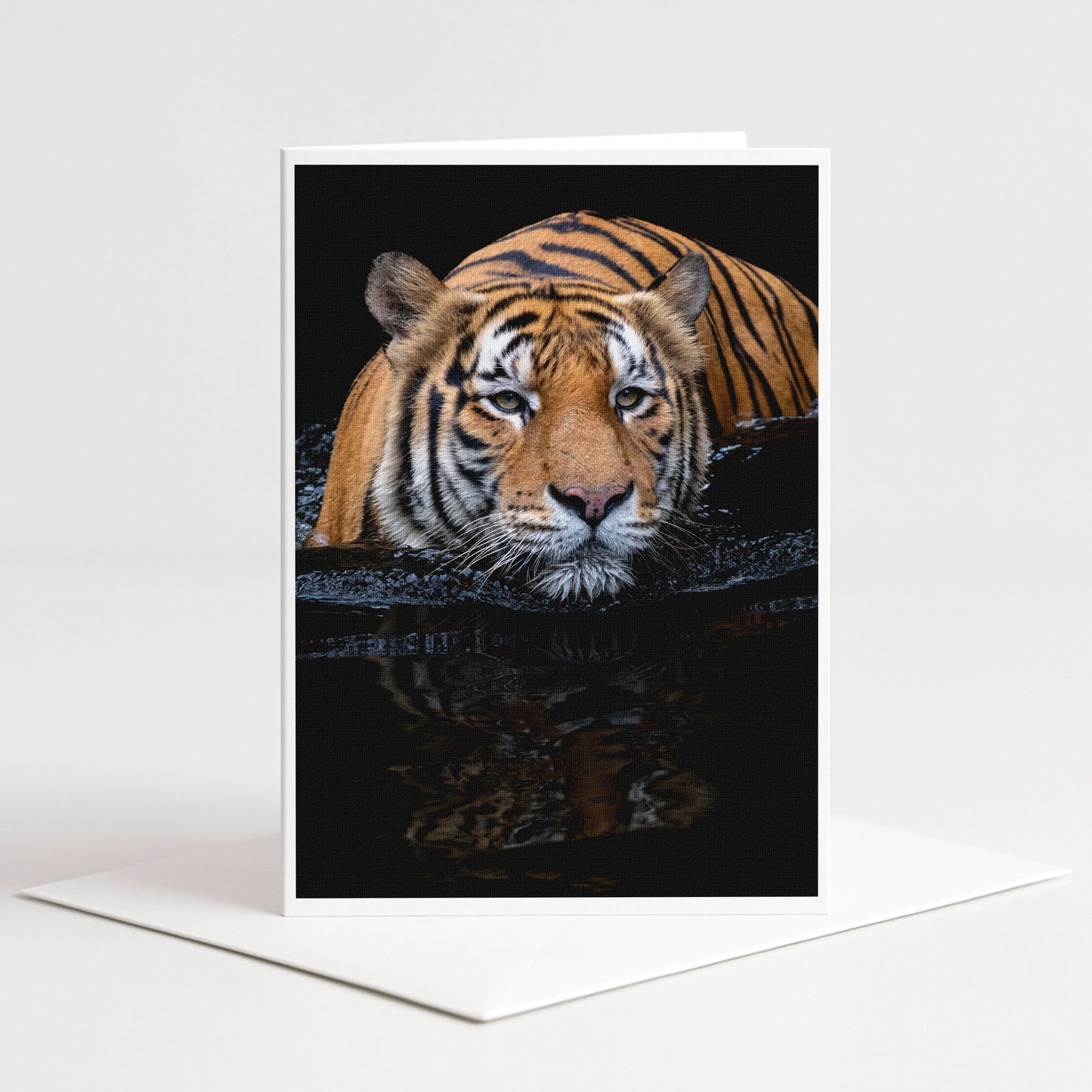 A close-up photograph of a tiger resting in a body of water, with its reflection visible in the water.